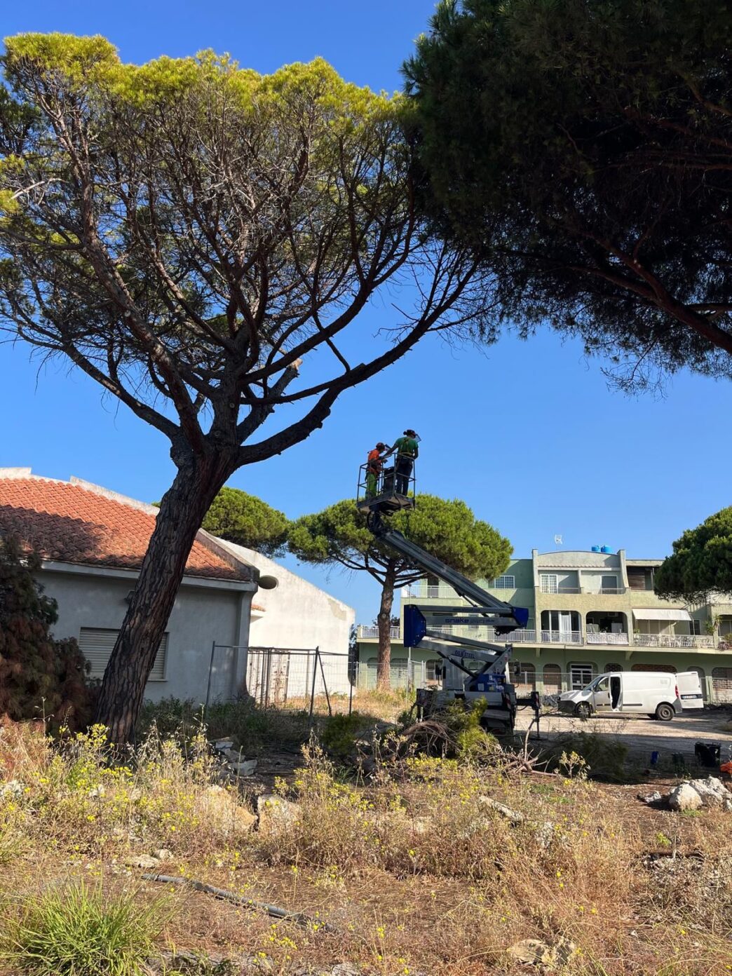 Abbattimenti A Campo Di Mare A