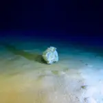 Accumulo Di Rifiuti A 5.112 Metri Sotto Il Mar Ionio: Uno Dei Casi Più Gravi Di Inquinamento Marino Profondo
