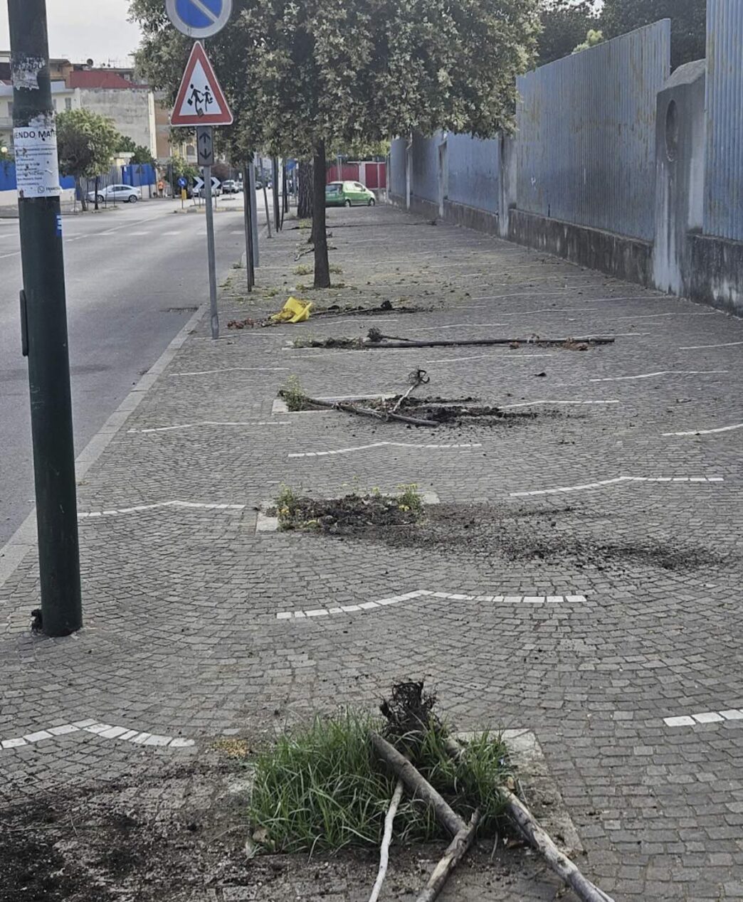 Ad Arzano Vandali Sradicano Du