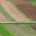 Agea Destina Oltre 88 Milioni Di Euro Ai Pagamenti Del Piano Di Sviluppo Rurale 2014-2022 E 2023-2027