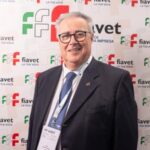 Agenzie Di Viaggio Fiavet Segnalano Calo Delle Prenotazioni Per L’estate 2025 Per Il 40% Degli Iscritti
