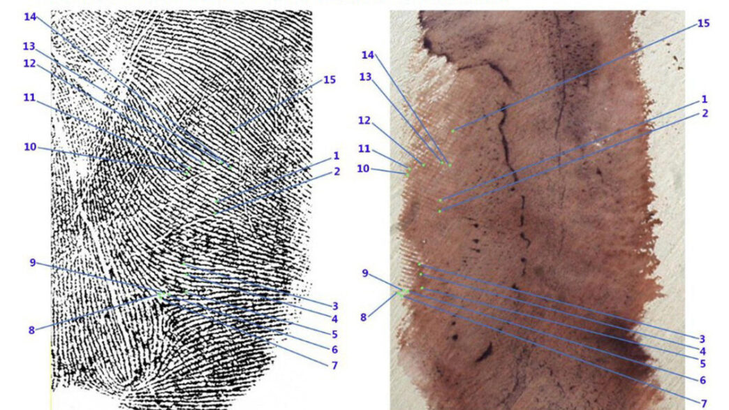 Annotazioni Del Genetista Emil