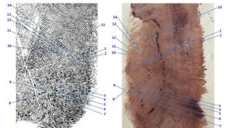 Annotazioni Del Genetista Emil