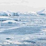 Resti Di Un Mondo Perduto Sotto I Ghiacci Dell’Antartide: Una Scoperta Straordinaria