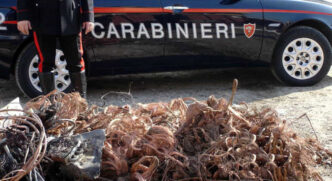 Arrestati Due Stranieri A Le28099Aq