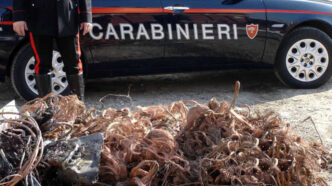 Arrestati Due Stranieri A Le28099Aq