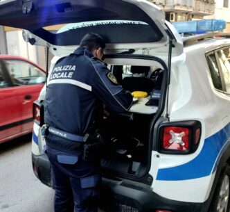 Arzano2C Interventi Contro Occu