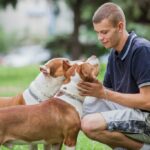 Asl Roma 4 E Comune Di Civitavecchia Promuovono Corso Sul Possesso Responsabile Dei Cani Con Rilascio Patentino
