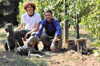 Azienda Agricola Rontana Celeb
