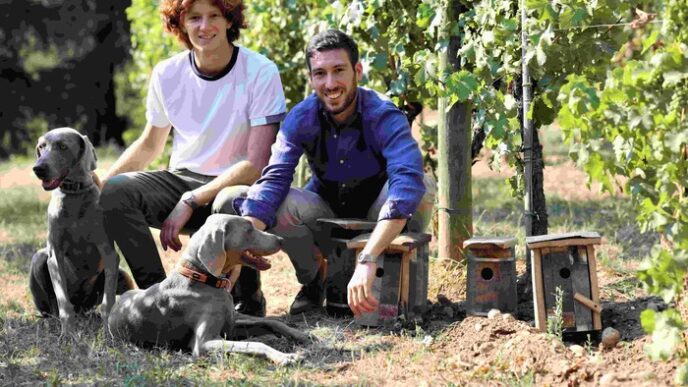 Azienda Agricola Rontana Celeb