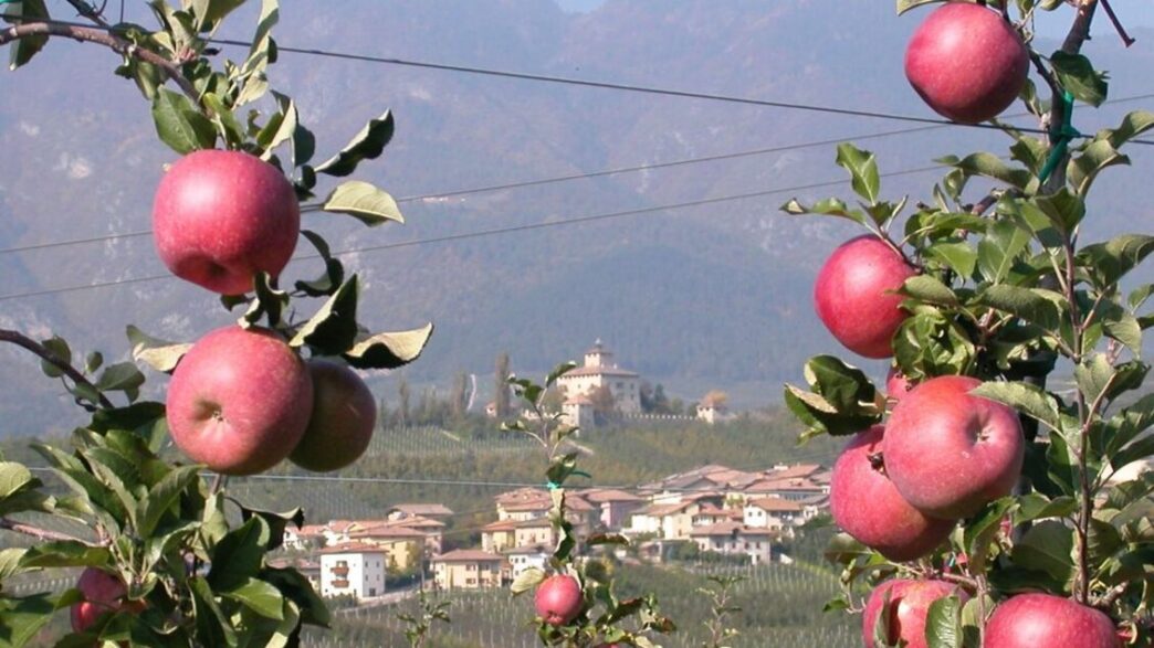 Bolzano Approva Emendamento Pe