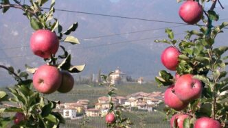 Bolzano Approva Emendamento Pe