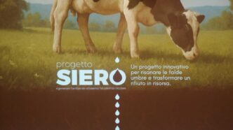 Bonifica Delle Falde Inquinate