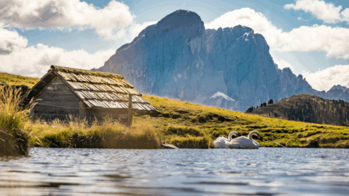 Bressanone Tra Storia2C Natura