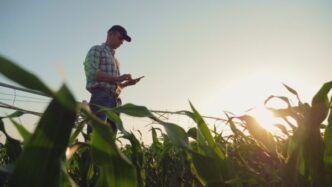 Call For Ideas Per Agritech 20