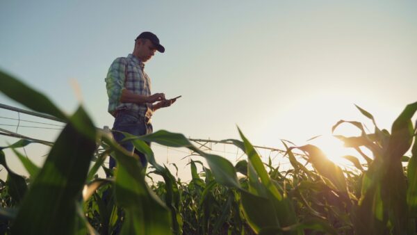 Call For Ideas Per Agritech 20