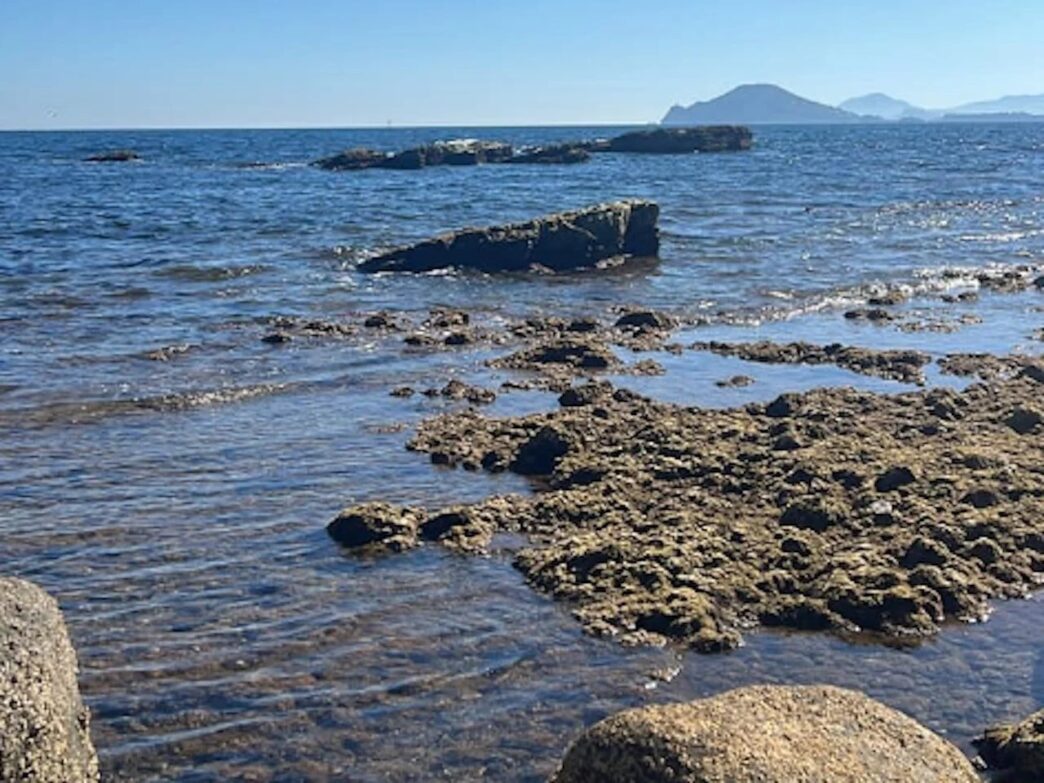 Campi Flegrei2C Tra Il 16 E Il
