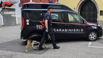 Carabinieri Arrestano 12 Perso