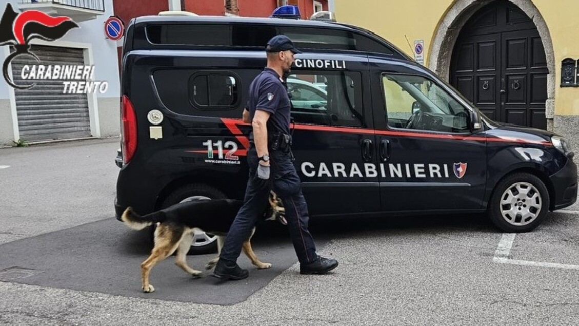 Carabinieri Arrestano 12 Perso