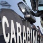 Carabinieri Verificano Etichettatura Della Frutta E Verdura In Negozio Di Aprilia, Multa Al Titolare