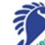 Cariche Batteriche Fuori Dai Limiti A Emilia-Romagna, Foce Savio E Rubicone Nel Mirino Di Goletta Verde