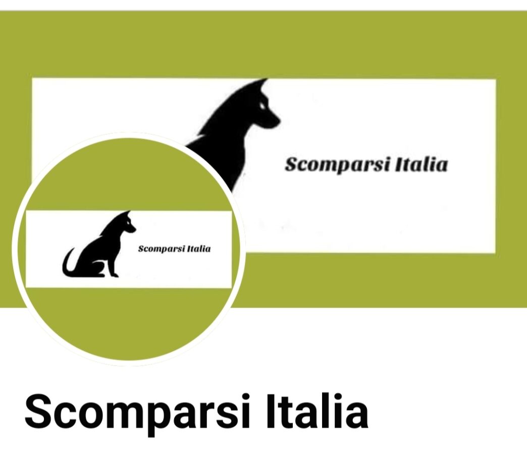 Centinaia Di Cani Scomparsi In