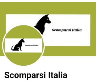 Centinaia Di Cani Scomparsi In