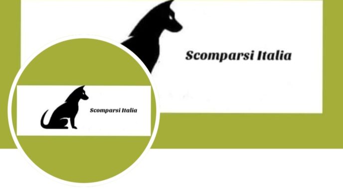 Centinaia Di Cani Scomparsi In