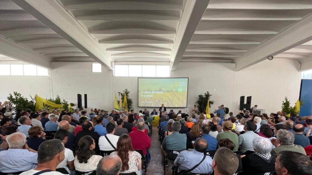 Consorzi Agrari D27Italia Ampli