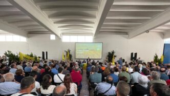 Consorzi Agrari D27Italia Ampli