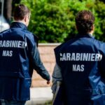 Controlli Del Nas A Fondi E Gaeta Nel 2025: Sequestri Per Irregolarità Alimentari In Ristoranti E Pizzerie