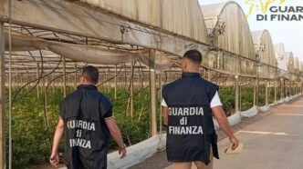 Controlli Straordinari Nel Fuc