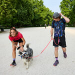 Correre E Muoversi Con Il Proprio Cane: Benefici, Regole E Attrezzatura Per Attività Sicure