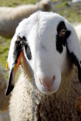 Corso Gratuito Online Per Agri