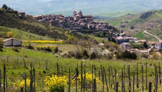 Dal Monferrato Alla Costiera A
