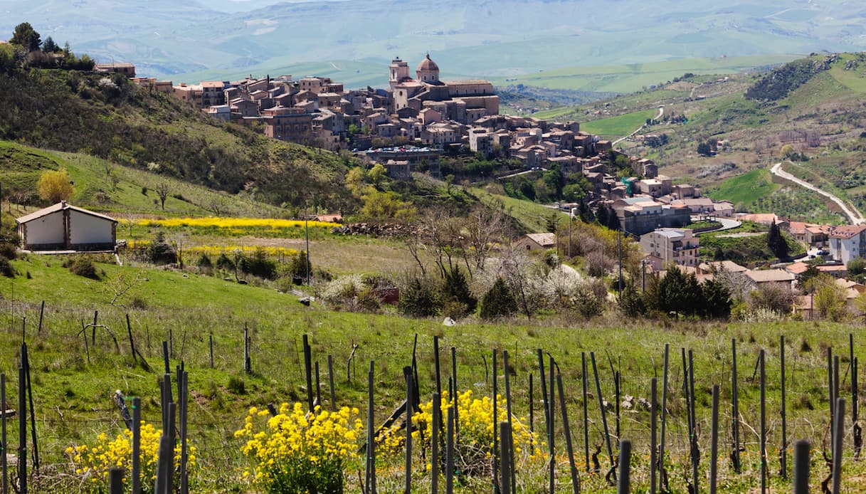 Dal Monferrato Alla Costiera A