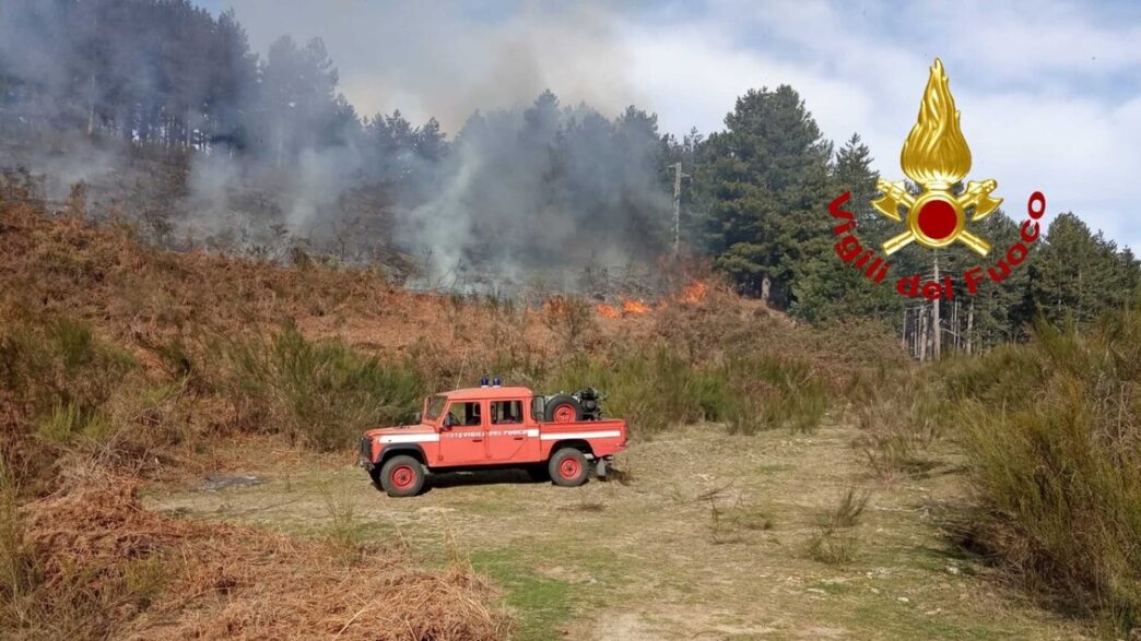 Diversi Incendi Di Vegetazione