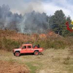 Diversi Incendi Di Vegetazione In Calabria Preoccupano Vigili Del Fuoco E Comunità Locali