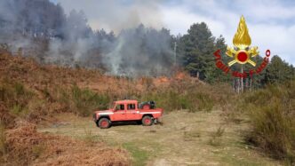 Diversi Incendi Di Vegetazione