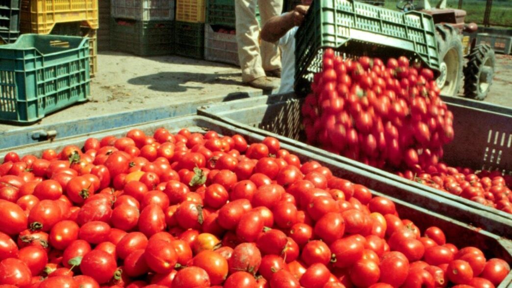 Divieto Di Lavoro Agricolo Nel