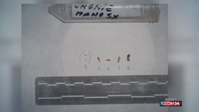 Dna Sotto Le Unghie Di Chiara