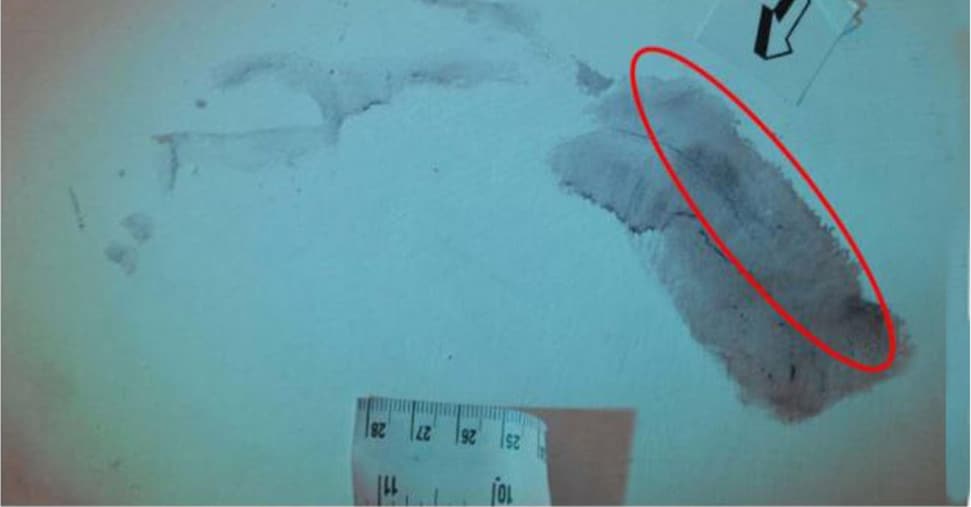 Dubbi Sulla Conservazione Dei