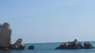 Due Canoisti Bloccati Tra Port