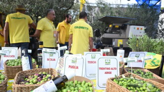 Due Italiani Su Tre Hanno Fatt