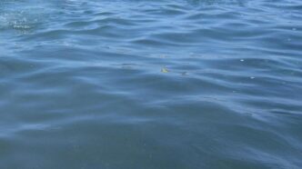 Due Morti In Mare Sul Litorale