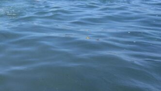 Due Morti In Mare Sul Litorale