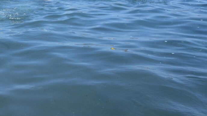 Due Morti In Mare Sul Litorale