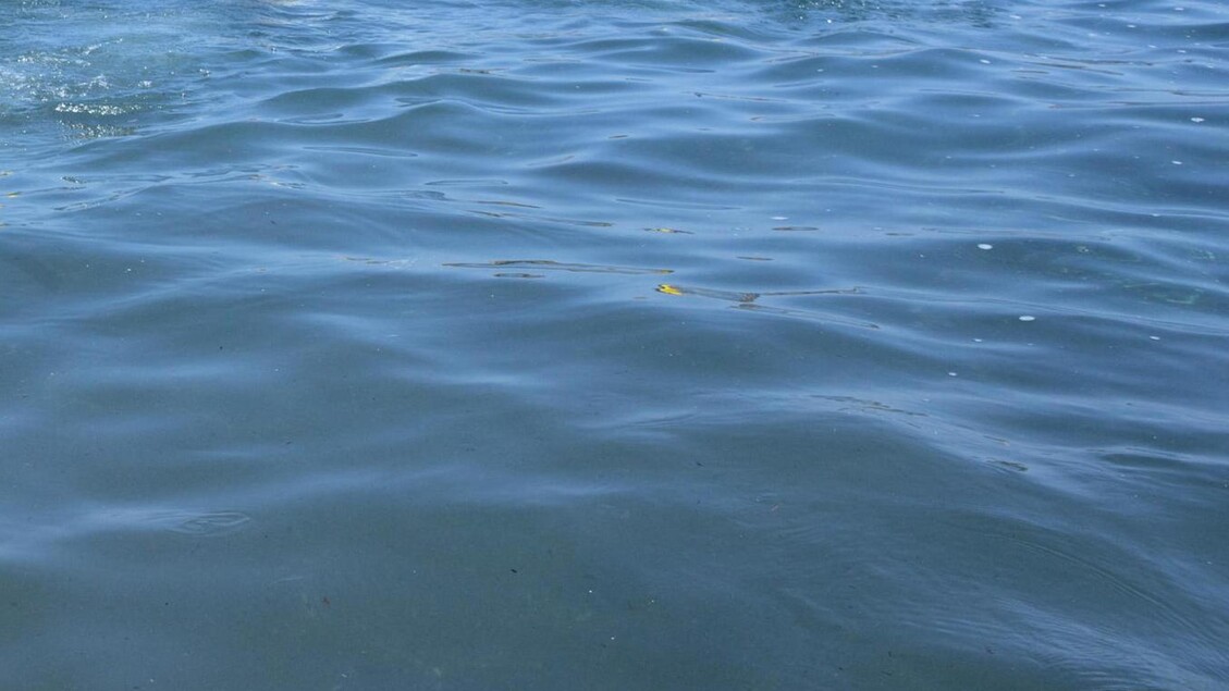 Due Morti In Mare Sul Litorale