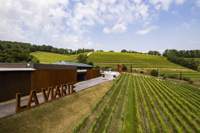 Due Vini Di La Viarte Tra I Mi