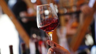 Export Del Vino Italiano Verso